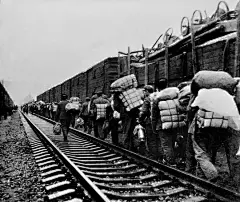 1981年，2万基建工程兵奉命南下建设深圳