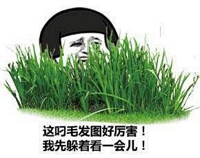这叼毛发图好厉害！我先躲着看一会儿--斗...