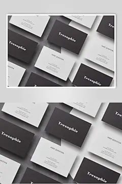 商务风企业宣传名片样机正反面效果图