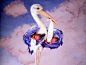 Anne Geddes babies birds sleeping storks wallpaper (#1748216) / Wallbase.cc