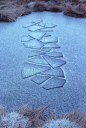 Andy Goldsworthy does such wonderful Metal Element art. Nice Water feel, too. Ice on Ice, 1980.: 