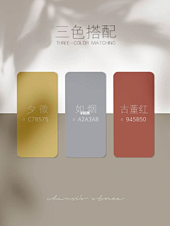 U1DJGPT8采集到颜色配搭