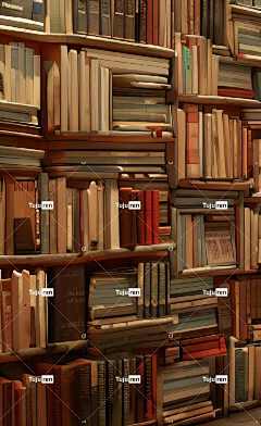 Ai产生的 书架 图书馆 图书 内部的 手机壁纸 场景 货架 读