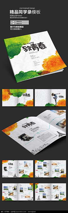鲨域采集到排版