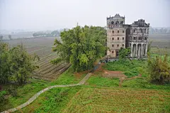 阳春烟景田园诗意般的农耕水墨画——自力村碉楼群