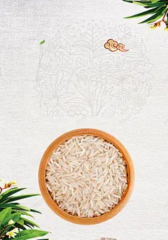 五常大米优质大米广告海报背景 稻花香 胚芽米 背景 设计图片 免费下载 页面网页 平面电商 创意素材
