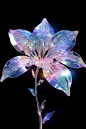 An iridescent Crystal Lily