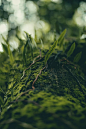 pexels-photo-10882783
