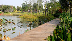 wooikun采集到桥  栈道