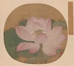 十六幅经典工笔荷花古画 - 小红书