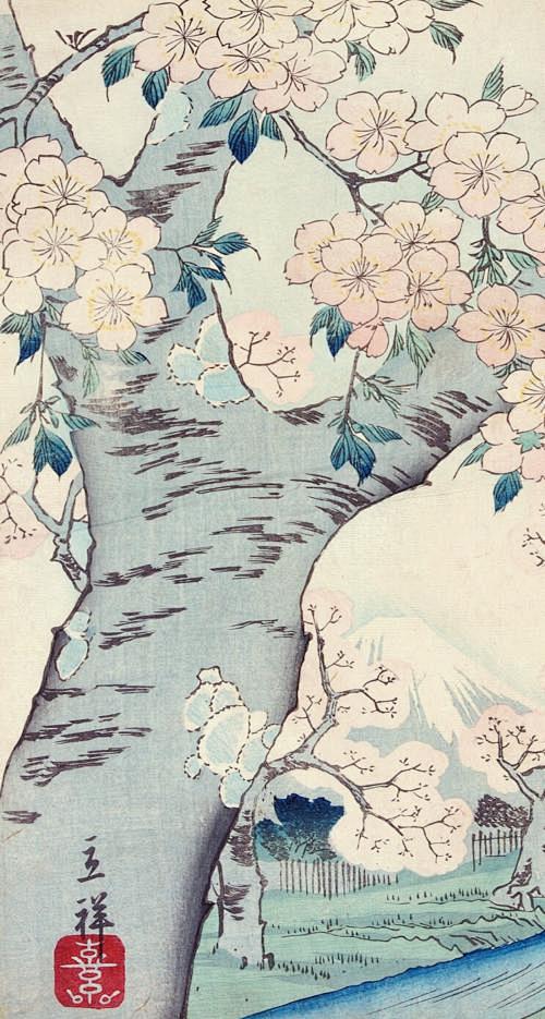 浮世绘的搜索结果_百度图片搜索