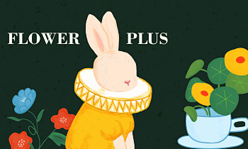 FLOWER PLUS花艺咖啡品牌设计-...