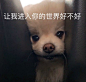 微博搜索