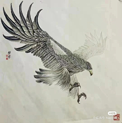 ≡*緈諨采集到鹰