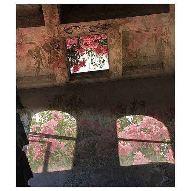 15 août en fleurs @a...