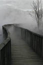 一条路,回忆是一座桥，却是通向寂寞的牢。