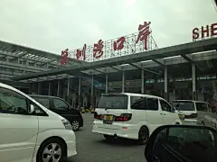 出发的时候，马来签证出来的还小担心了一下,挖野菜的老虎