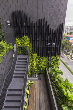 至浅清溪采集到景观植物-庭院及屋顶花园绿化