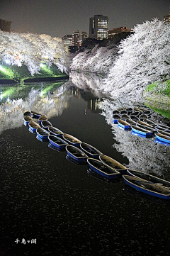 星之魔术师采集到刹那芳华——摄影艺术