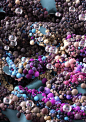 Experimental Imagery