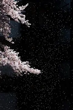 最热烈不过烟花、日本、日系、清新、樱花、花、治愈、手机壁纸