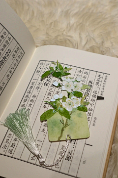 清述采集到高端素材