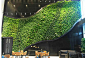 室内设计 垂直绿化 立体绿化 建筑绿化 建筑外墙设计 景观墙 
项目名：合肥万科城市中心
来源： 深圳市润城生态环境股份有限公司