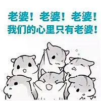 手绘仓鼠夫君妻奴文字表情包 老婆怎么看都漂亮