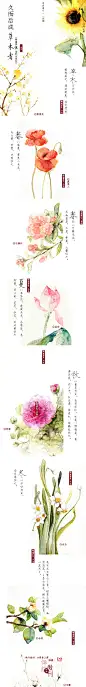【第一一四期·久而后成草木者】曾经读过一句诗，是这样的「台榭如富贵，时至则有；草木知名节，久而后成」。意思是说亭台转瞬即有，而乔木参天、花草葱茏，却要待以时日，最终才可以浑然天成。我们沉湎于日常却疏忽了自然草木给予的触动，一年四季，它们都如此美丽。