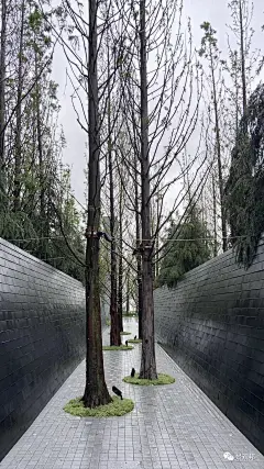 近期备受好评的重庆标杆项目考察招募（报名过半） : 引领行业的标杆项目，一定不要错过