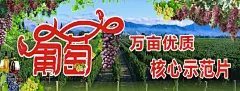 葡萄种植园宣传展示海报 【酷图网】葡萄采摘,葡萄,葡萄园采摘,葡萄园,采摘,采摘葡萄,葡萄促销,葡萄上市,葡萄采摘节,葡萄采摘季,葡萄节,葡萄采摘园,葡萄采摘海报,葡萄采摘展板,葡萄海报,葡萄采摘比赛,葡萄采摘宣传,葡萄采摘广告,葡萄广告,葡萄采摘活动,葡萄宣传单,葡萄亲子采摘,葡萄采摘单页,葡萄促销海报,葡萄种植园,葡萄熟了,