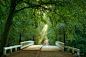 Photograph bridge to forest rays by Lars van de Goor on 500px