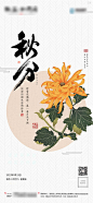 秋分节气微信单图