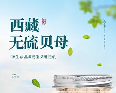 野生藏贝母50g正品官方旗舰店川贝母颗粒川贝粉松贝特级-tmall.com天猫