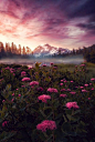 Mount Shuksan, Washington
雷尼尔山，华盛顿