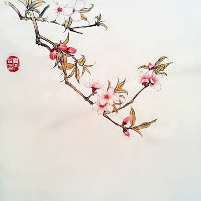 [南宋·刘学箕《菩萨蛮·杏花》]
昨日杏...