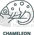 变色龙,轮廓,线图标,可爱的,商务,野生动物,模板,现代,蜥蜴,动物