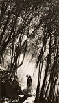 Light in the Woods 1931 By