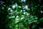 VOIGTLANDER 35 1.4 SC - Eput摄影
