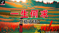 广告素材搜索 - AppGrowing - 有米云