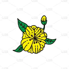 花瓣叶片设计模板向量线性