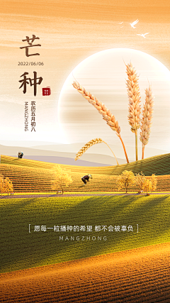 珍贞采集到面料衣物创意