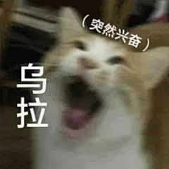 实用斗图表情包无水印​​​
