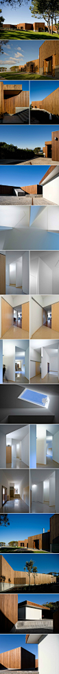 Pego House, 2008 / Alvaro Siza. 建筑面积约490㎡，由5个单独的卧室、1个书房、1个起居室和1个厨房组成，另外还有一个联系整个房子、半独立的弯曲内廊。这些空间一起界定出几个具有外部景观的不规则庭院