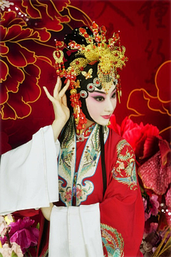 心海冰蓝采集到国粹之美