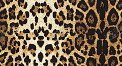 豹纹 【酷图网】热带叶子,棕榈,红棕榈,无缝拼接,棕树叶,叶子,欧式花,热带花卉,壁纸,花卉底纹,花卉背景,墙纸,背景墙,包装纸,手机壳,无缝墙纸,瓷砖图案,手机壳印花,布料图案,包装,图案,数码印花,移门图案,面料印花,无缝印花,无缝花纹,热带植物花卉