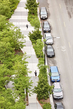 大红豆`采集到道路