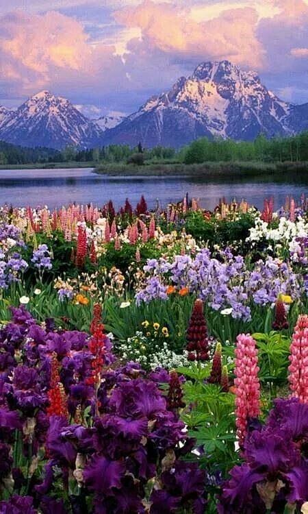 Grand Teton National...