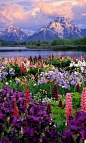 Grand Teton National Park,  Wyoming: 