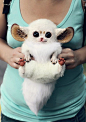 Inari Foxes - oh my gosh. Cutest thing ever. It is like pikachu in real life: Cuteness Overload, Animals, Real Life, Stuff, Pet, Funny, Adorable, Inari Foxes